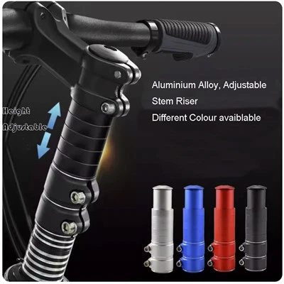 Gibt es Stammteile, die die Schwerkraft spüren können?